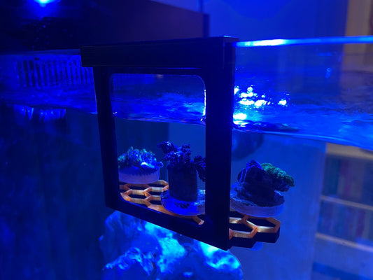 Hanging hex frag rack, frag holder. Marine aquarium.