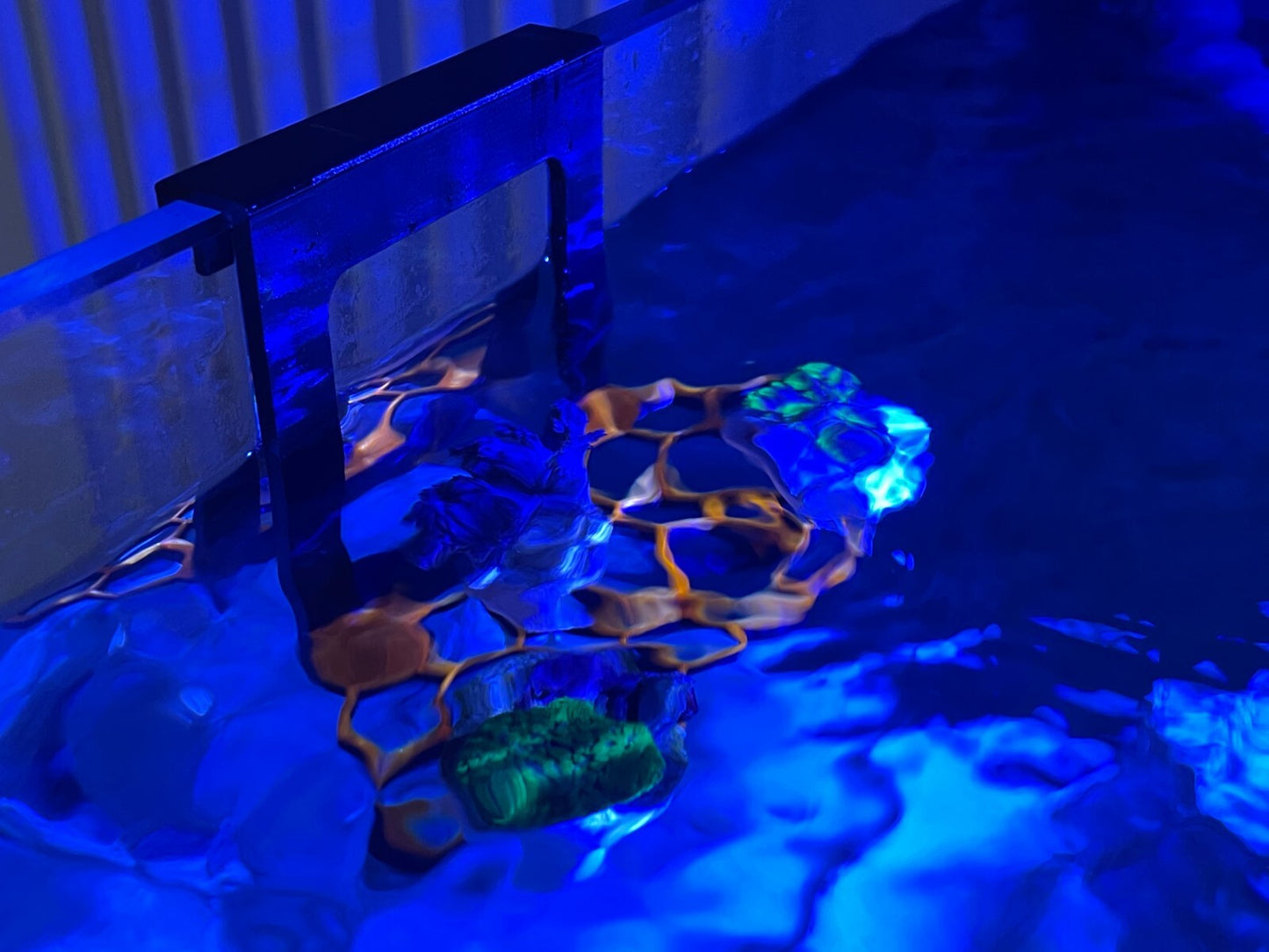 Hanging hex frag rack, frag holder. Marine aquarium.