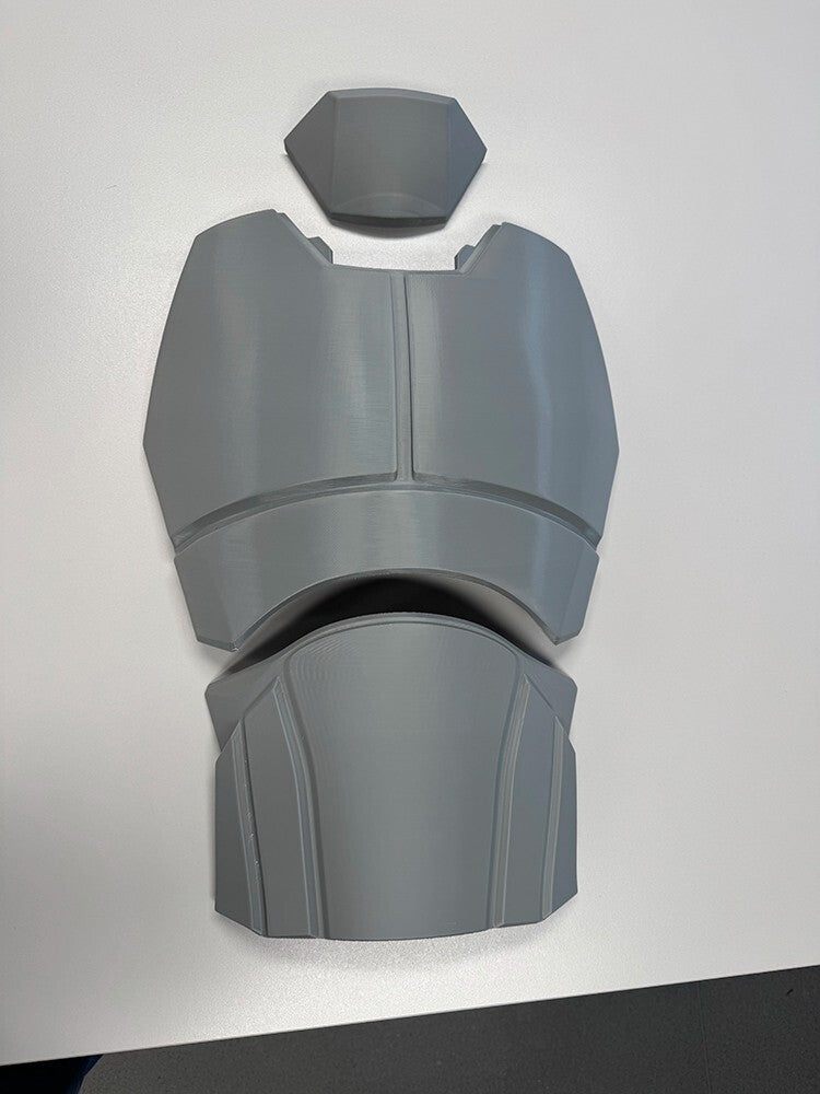 Fallout NCR Elite and Advanced Riot Armour